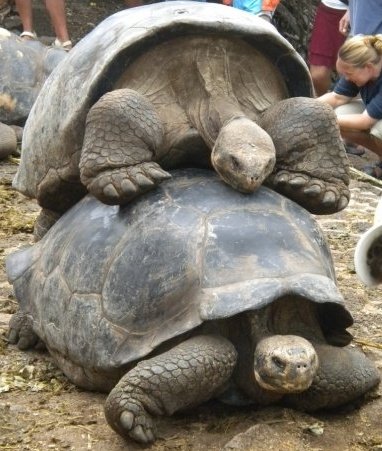 6213_131219888065_679513065_3201125_900994_n slow sex